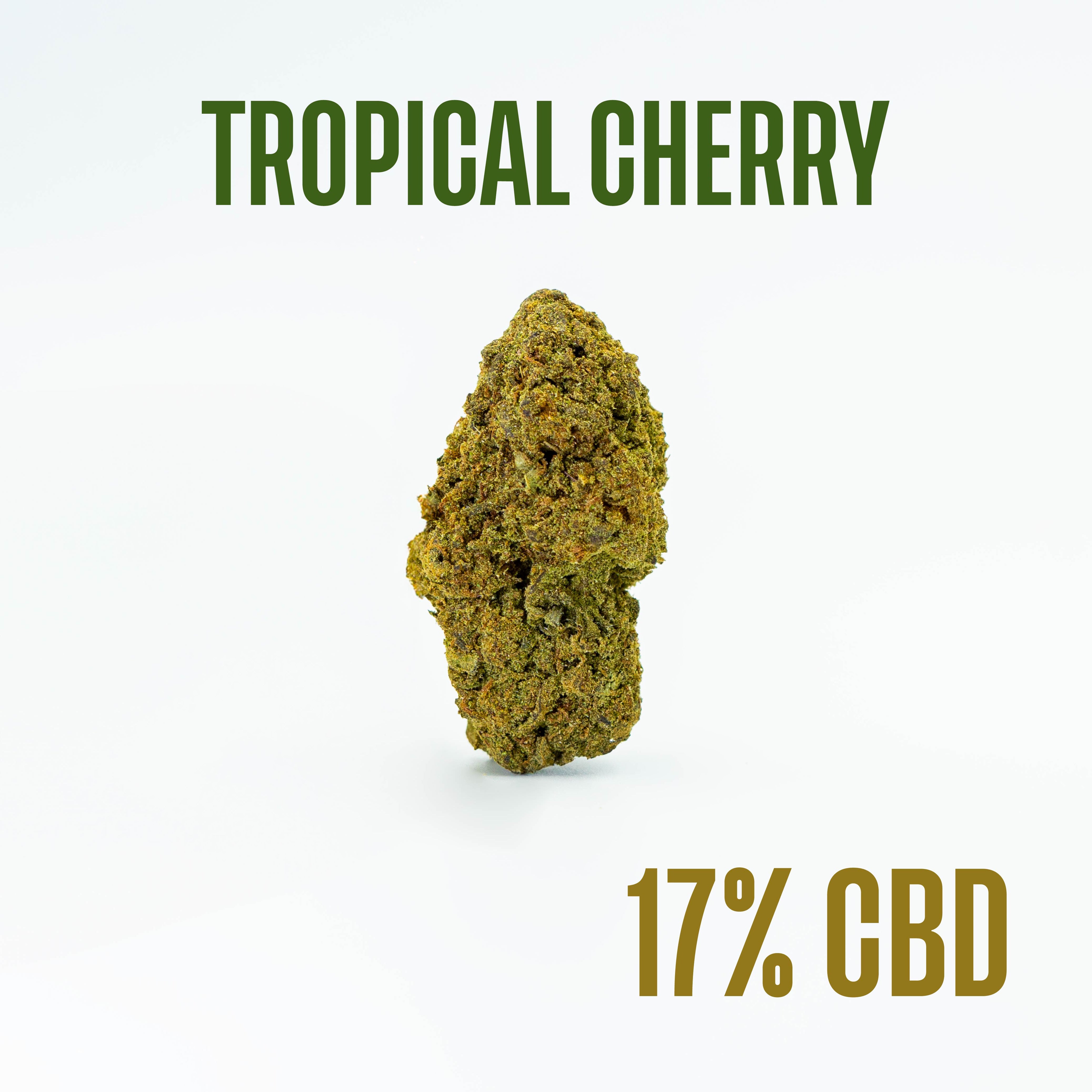 Tropical Cherry