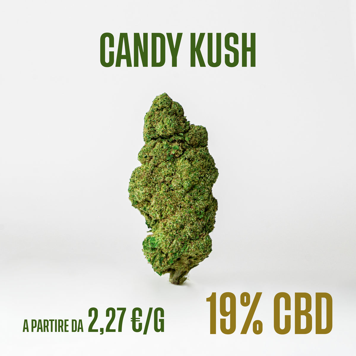 Candy Kush, fiori di CBD Herboline