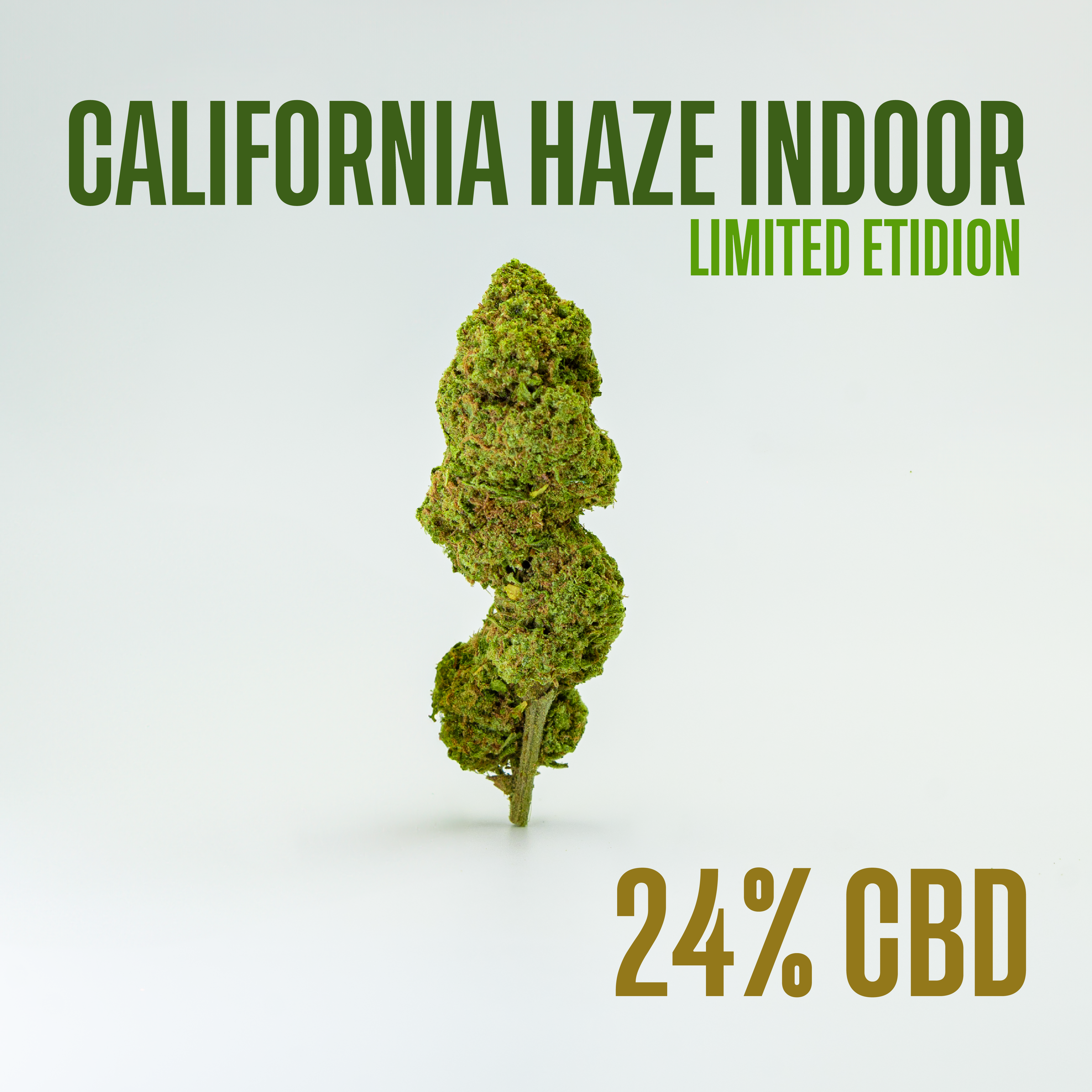 California Haze Indoor (LIMITED EDITION)