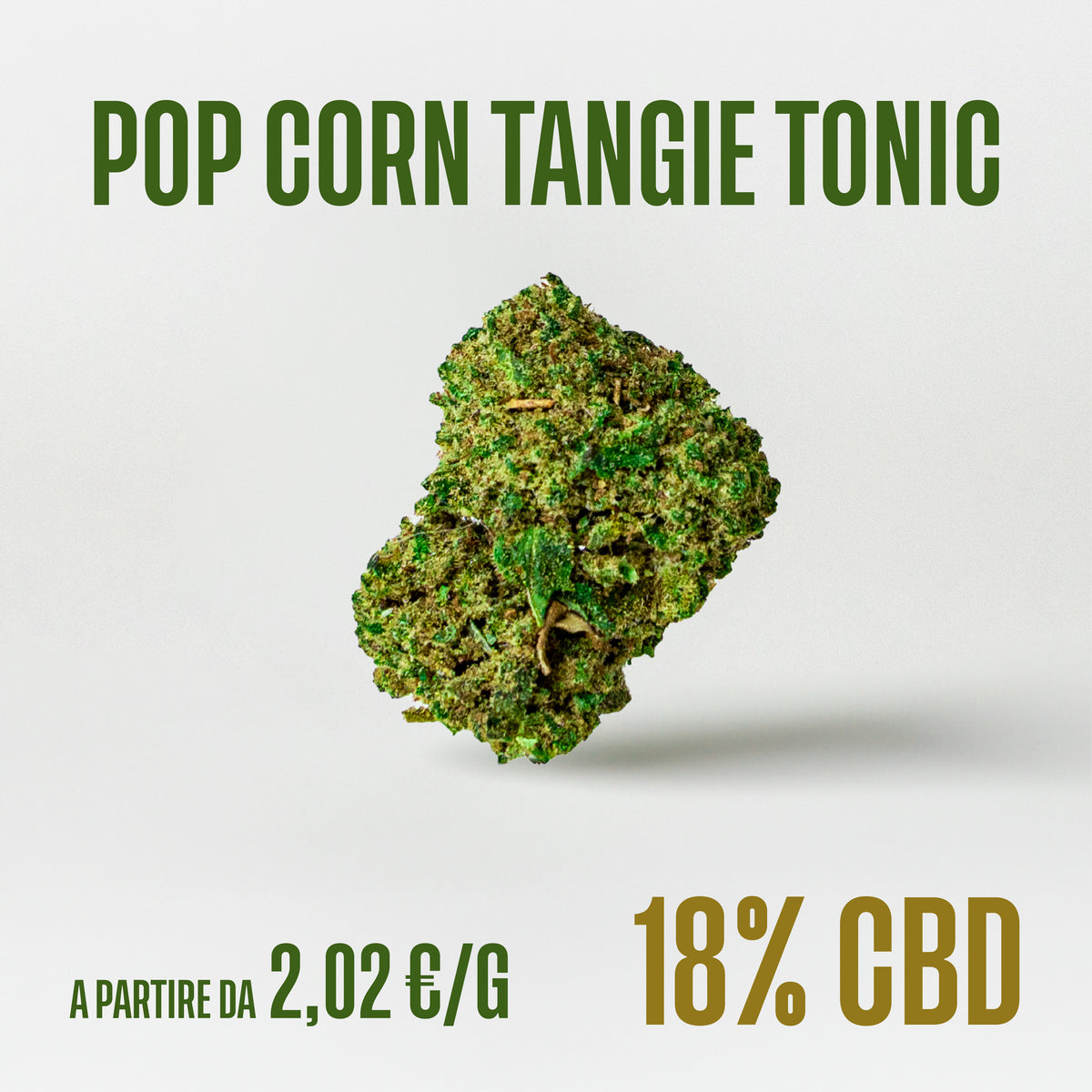 Pop Corn Tangie Tonic, fiori di CBD Herboline