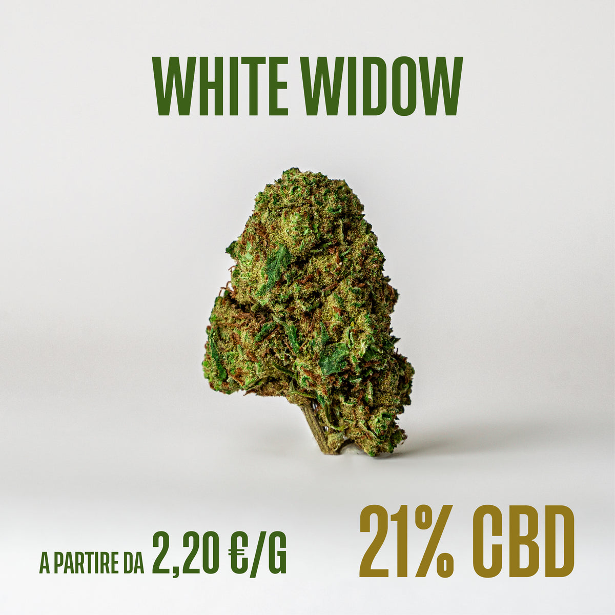 White Widow, fiori di CBD Herboline
