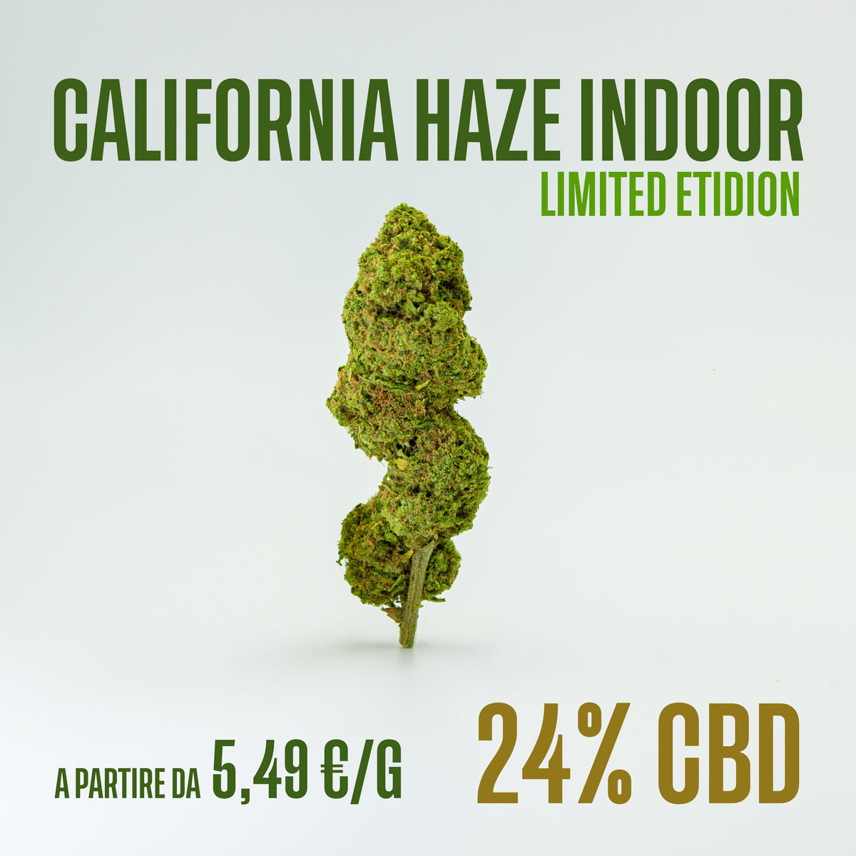 California Haze Indoor (EDIZIONE LIMITATA), fiori di CBD Herboline