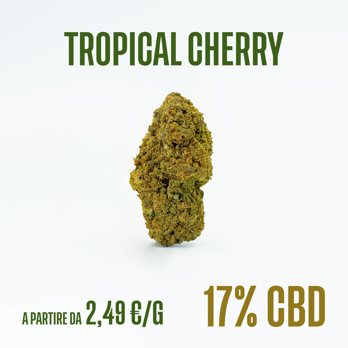 Tropical Cherry, fiori di CBD Herboline