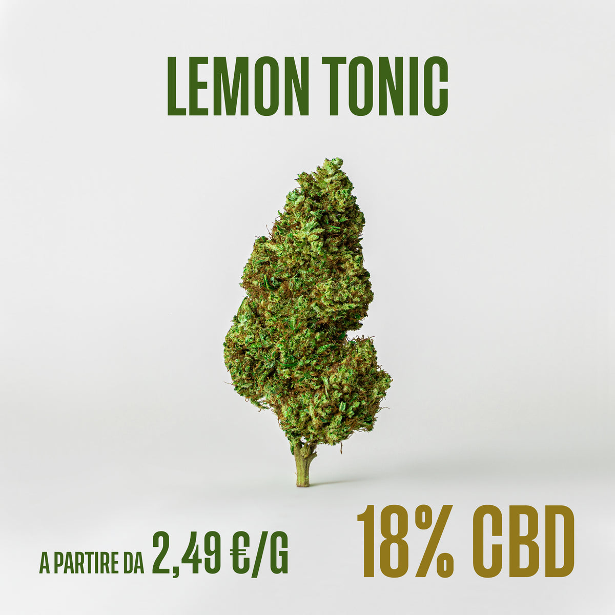 Lemon Tonic, fiori di CBD Herboline