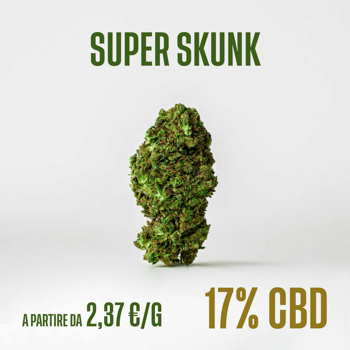 Super Skunk, fiori di CBD Herboline